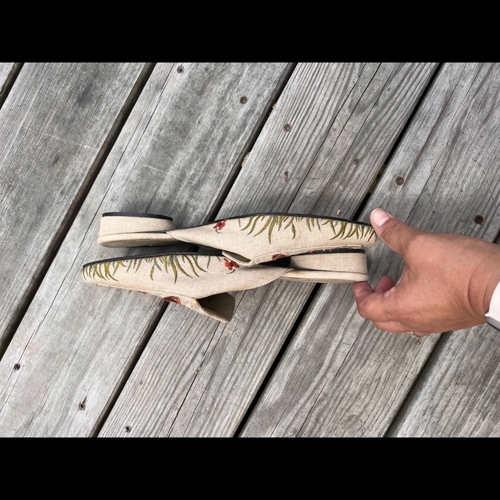 Collection mules. - Picture 3 of 5